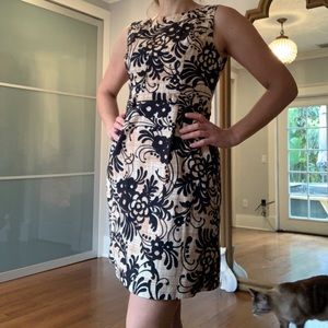 Anthropologie Tabitha Dress, Black and Tan Floral pattern, Size M (6/8)